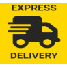 Express Delivery